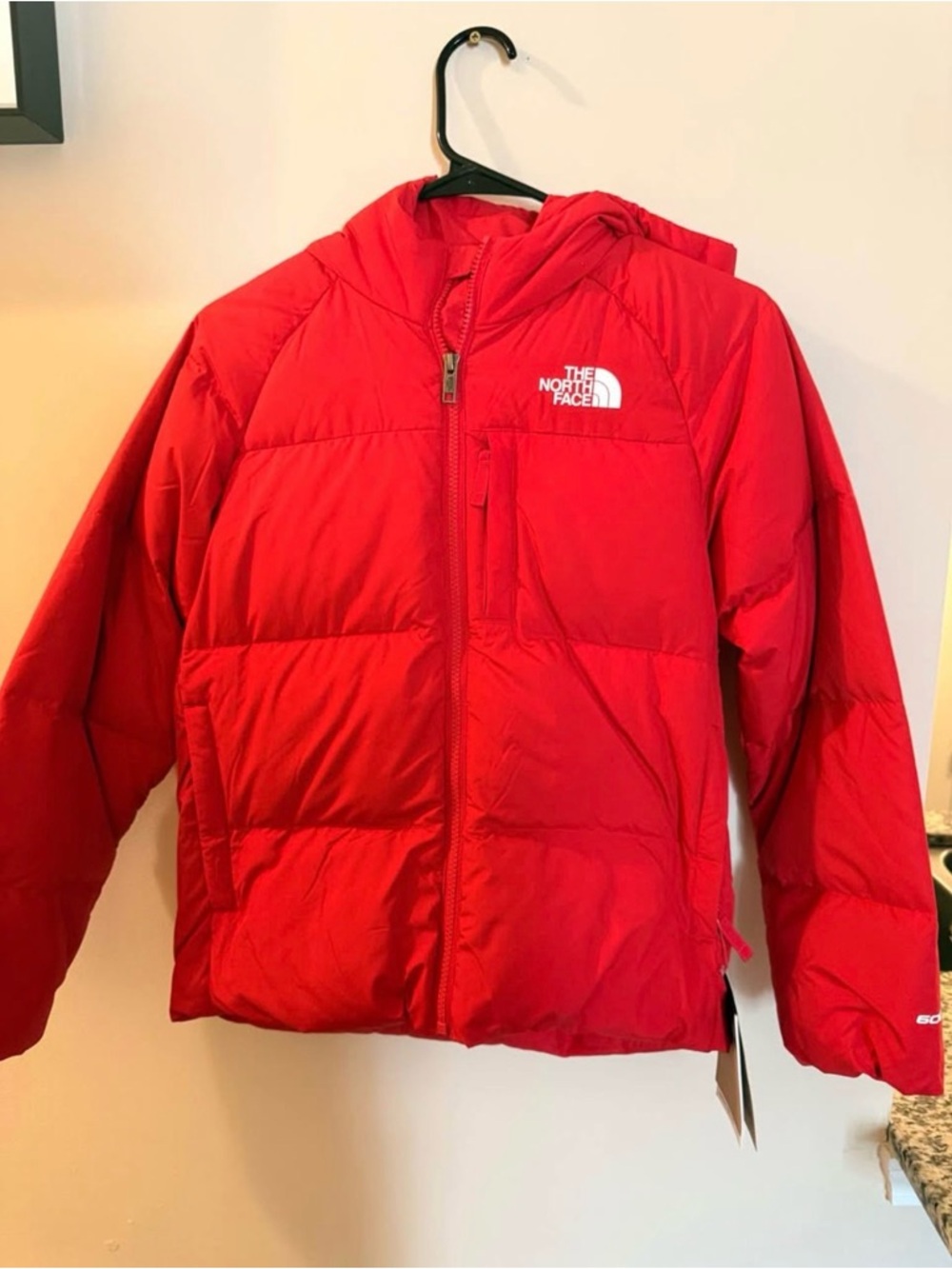 The North Face Bright Red Hooded Puffer Coat